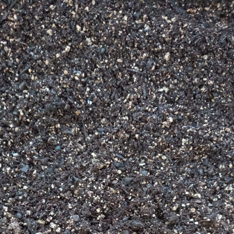 Potting Soil (Potting Mix)