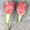 Fig Tree of Stromboli Italy up to 20cm - Image 3