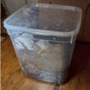 250g Composting Worms Tiger Worms (Eisenia Fetida) - Image 2