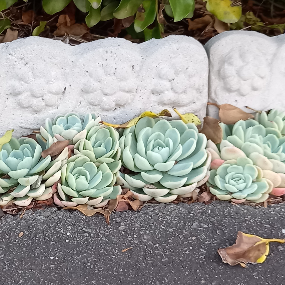 Victorian style concrete garden edging tiles with decorative pattern forming a lawn border