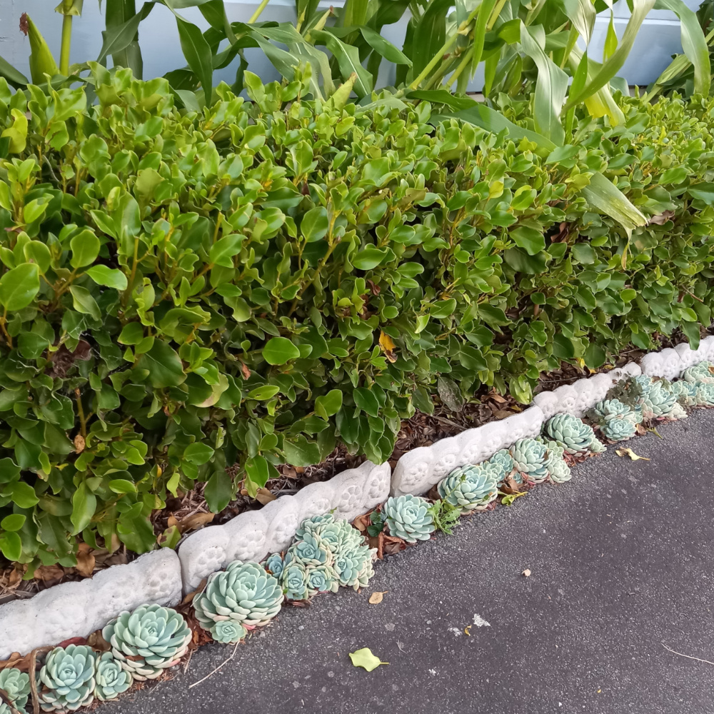 Victorian style concrete garden edging tiles with decorative pattern forming a lawn border