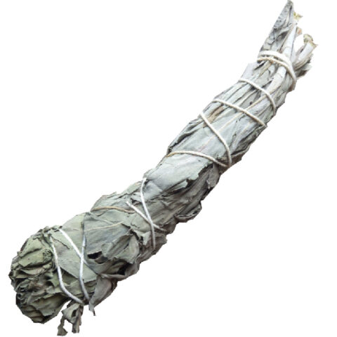 White Sage Smudge Stick