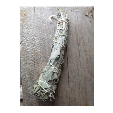 White Sage Smudge Stick