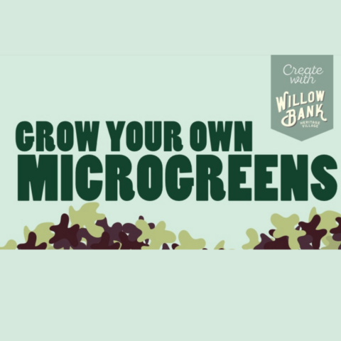 Microgreen Pack