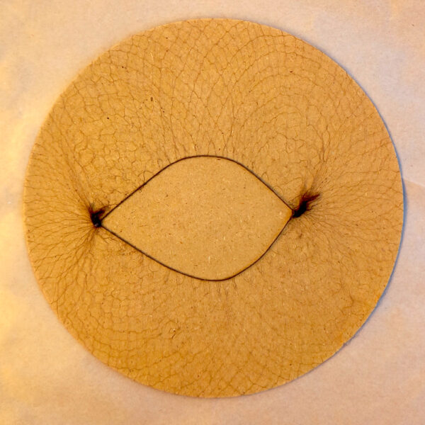 1960s Vintage Nylon Hair Net Snood (HAIR-02)