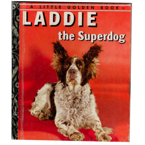 1973 Laddie the Superdog W. P. Gottlieb A Little Golden Book (BK-052)