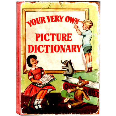 Your Very Own Picture Dictionary by Spring Books London (BKCH-003)