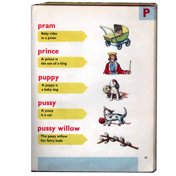 Your Very Own Picture Dictionary by Spring Books London (BKCH-003) - Image 2