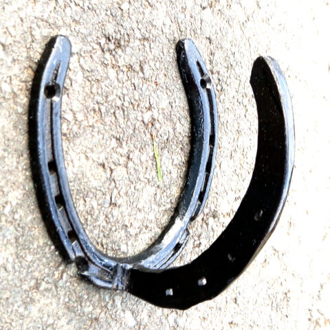 Willow Bank Wall Mount Horse Shoe Hook Black (MISC-001)