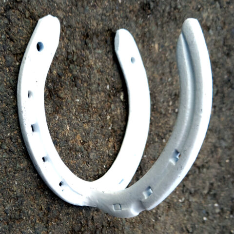 Willow Bank Wall Mount Horse Shoe Hook White (MISC-002)
