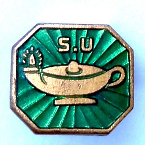 Vintage Badge SU Scripture Union Brooch Genie Lamp Green Enamel by H.W. Miller (VCAJ-027)