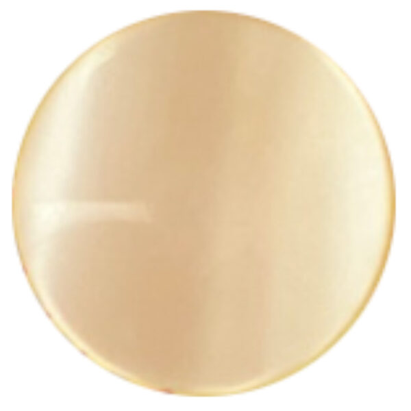 15mm Vintage Lansing Buttons Light Apricot On Card x6 (BUT-038) - Image 2