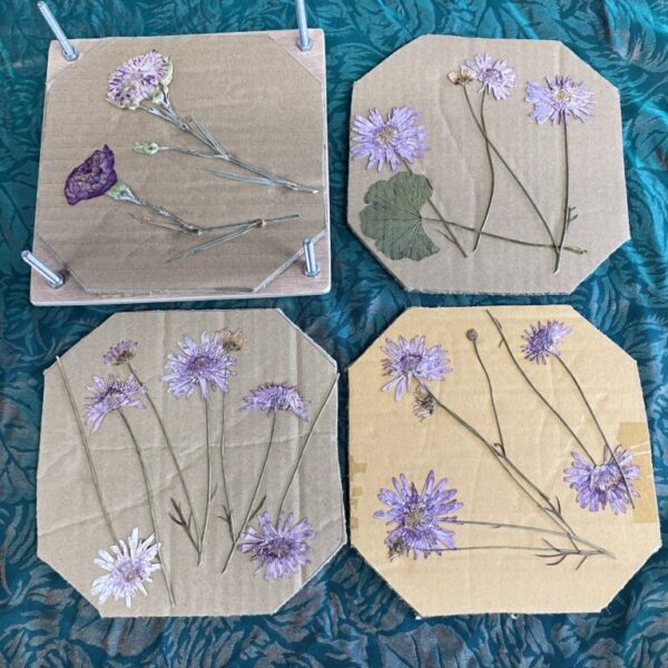 Flower Press Plain (New Zealand Made) (CWWB-007) - Image 5