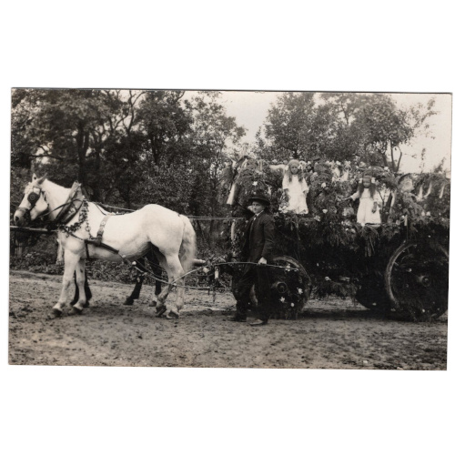 Postcard of Horse Pulls Wagon Decorated With Greenery (ANPC-005)