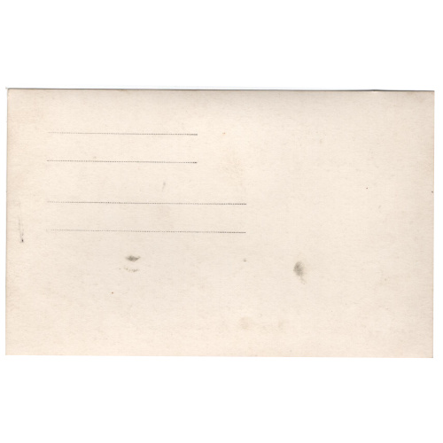 Postcard of Horse Pulls Wagon Decorated With Greenery (ANPC-005) - Image 2