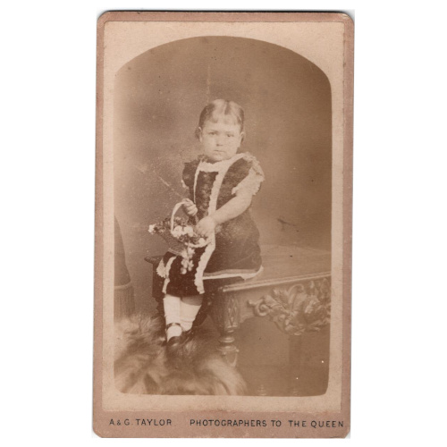 CdV of a Young Girl by A & G Taylor BLiverpool (ANPH-071)