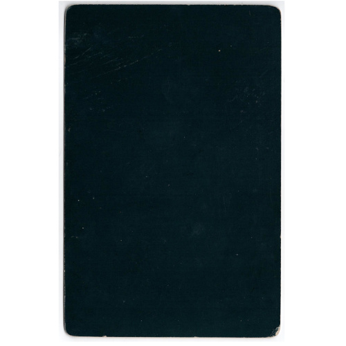 Cabinet Card of a Woman Sitting Outside (ANPI-004) - Image 2