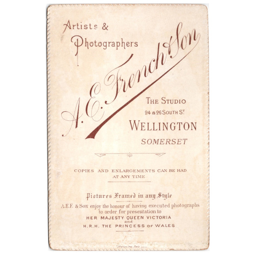 Cabinet Card of Girl in White Dress by A E French & Son (ANPI-011) - Image 2