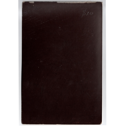 Cabinet Card of a Woman by W E Brown Nelson (ANPI-007) - Image 2