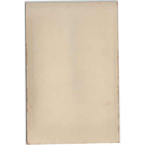 Cabinet Card of two Children by Mercer Manchester (ANPI-021) - Image 2