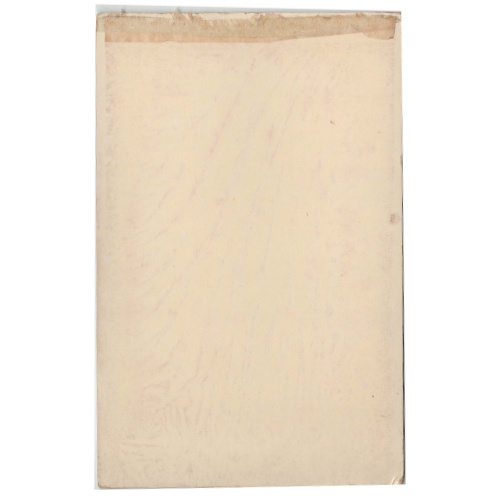 Cabinet Card of a Woman by H M Cooper Taunton (ANPI-016) - Image 2