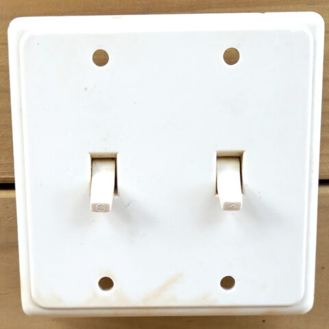 Vintage Double Bakelite Rocker Power Switch White by PDL (ANTV-109)