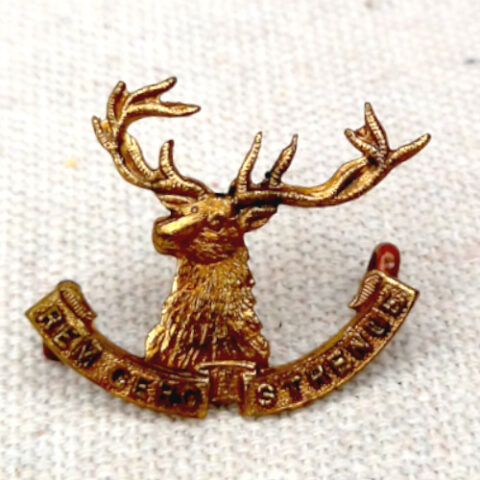 WWI New Zealand 10th Nelson Mounted Rifles Cap Badge (ARMY-016)