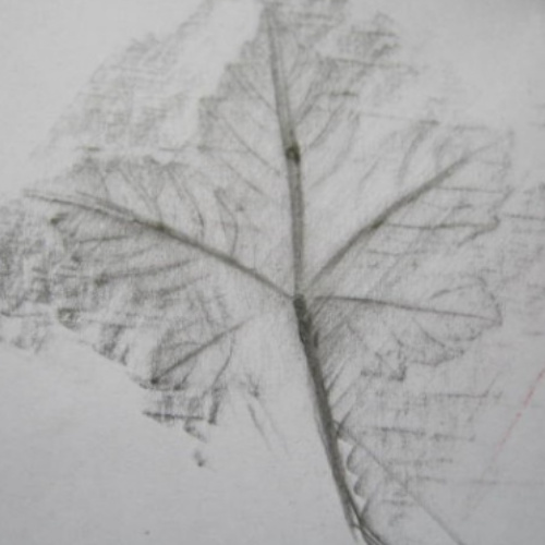 Children creating pencil rubbings of leaves and coins on paper.