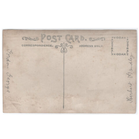 Vintage family postcard showing two babies photographed by Tesla Studio in Wanganui.