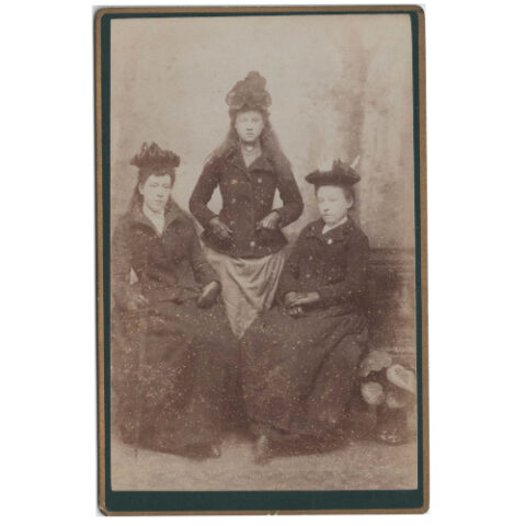 Cabinet Card of Three Women (ANPI-019)