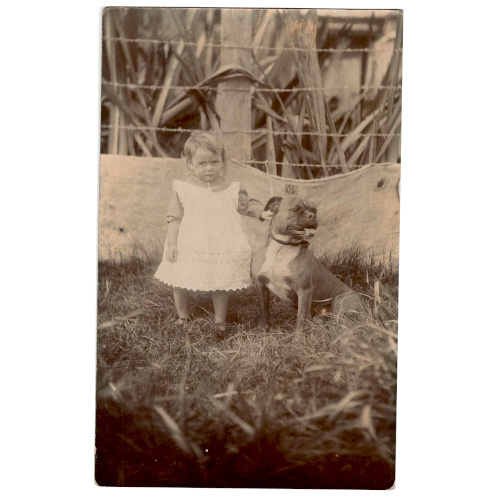 Vintage real photo postcard showing a child posing with a Boxer dog.