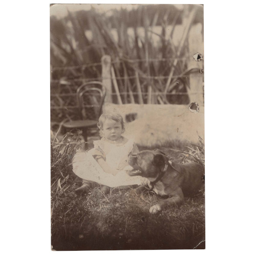 Vintage real photo postcard showing a child posing with a Boxer dog.