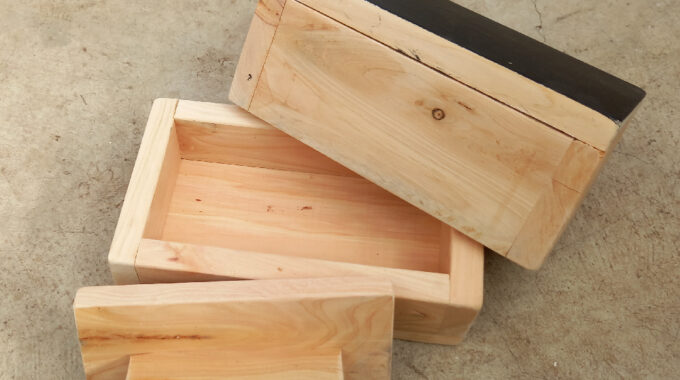 Wooden boxes designed for growing microgreens and sprouts at home