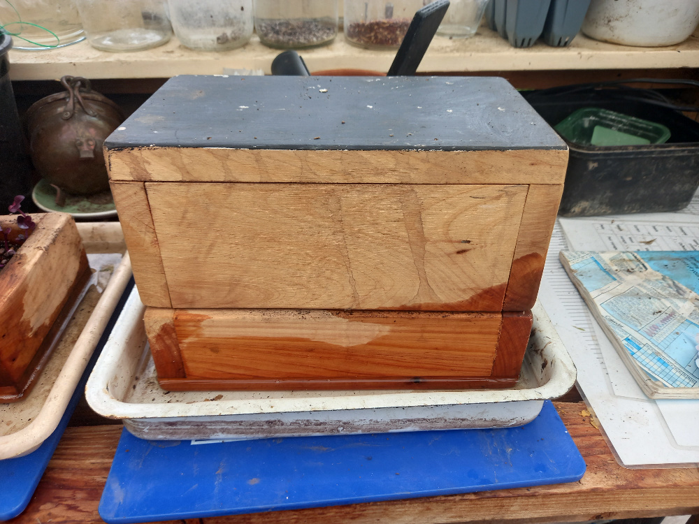 Wooden boxes designed for growing microgreens and sprouts at home