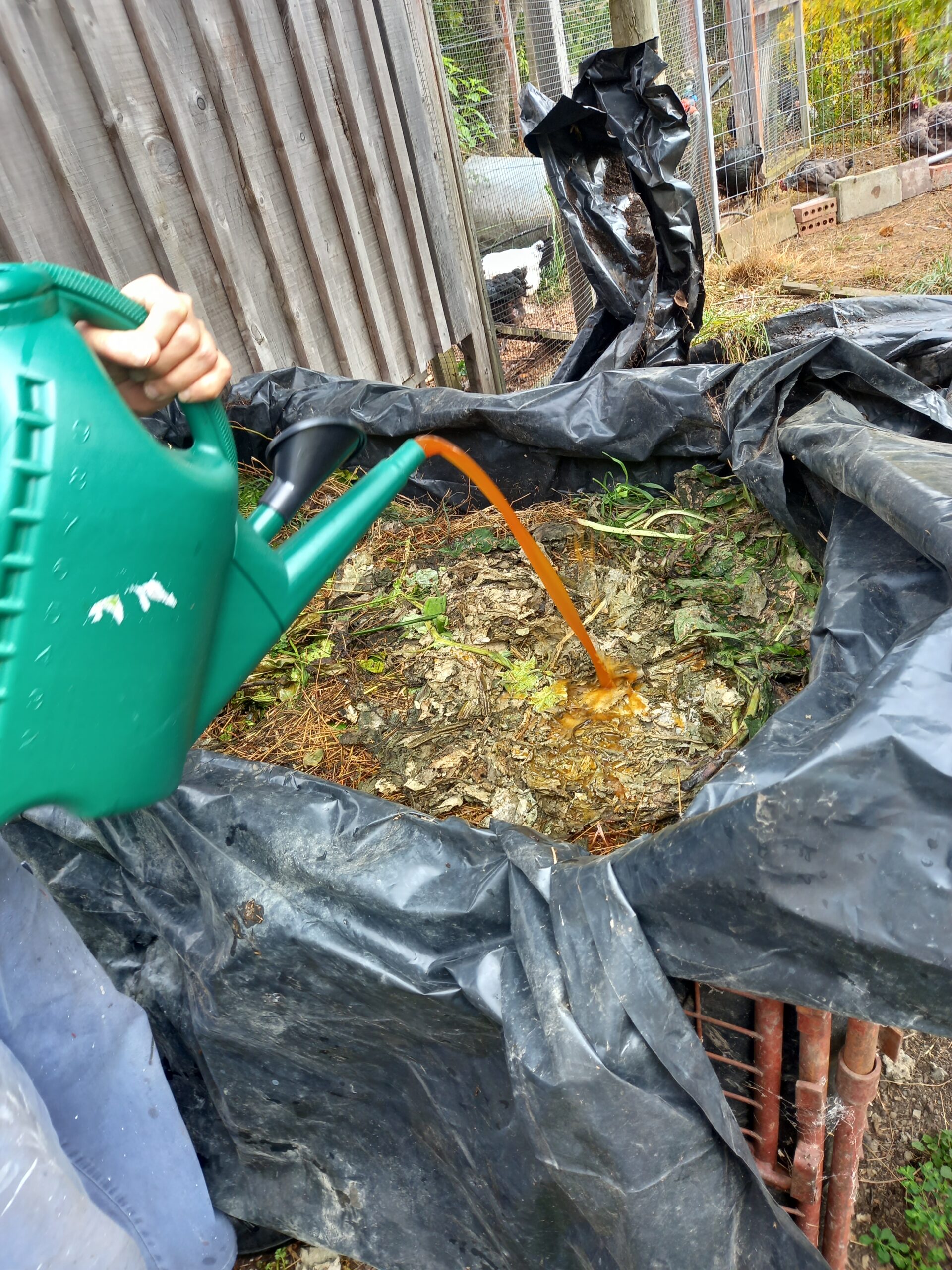 Plastic-lined fermentation bin for composting garden waste and invasive weeds