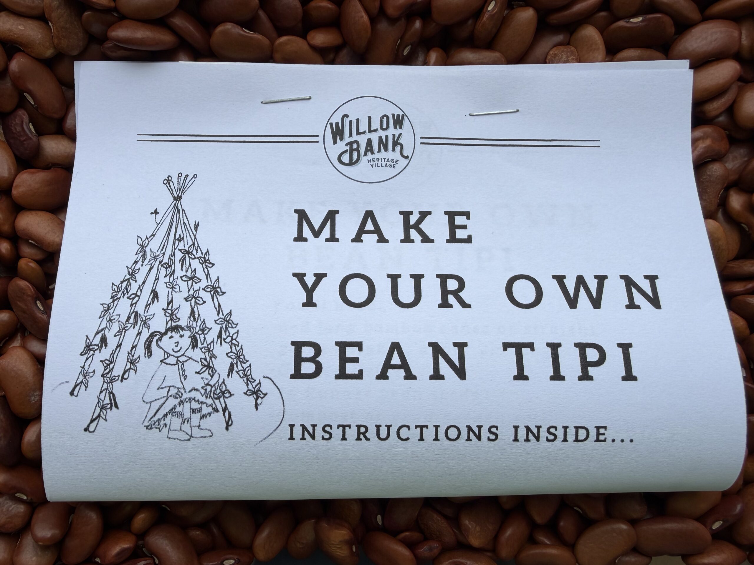 Purple Pod Bean growing activity with bean tipi instructions for children